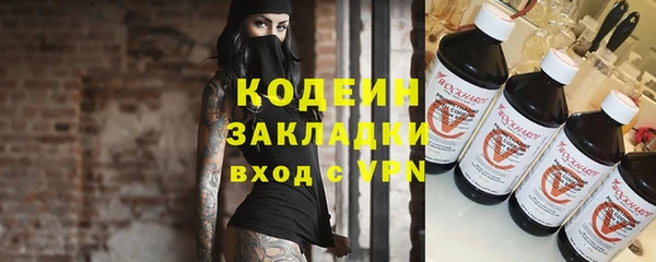 сатива Беломорск