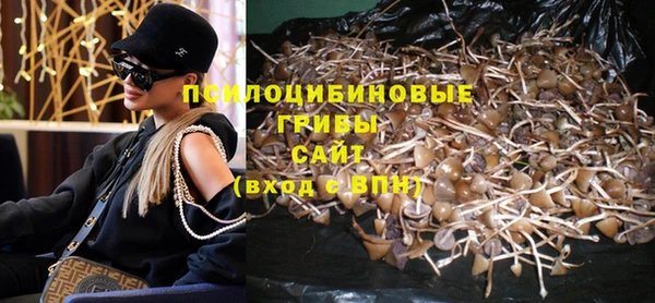 сатива Беломорск