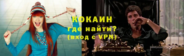 сатива Беломорск