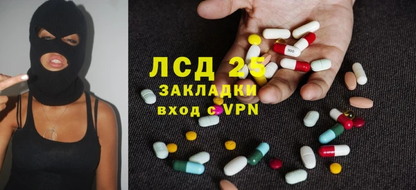 сатива Беломорск