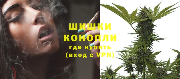 молекула духа Белокуриха