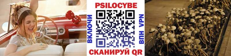 Галлюциногенные грибы Psilocybine cubensis  Рудня 