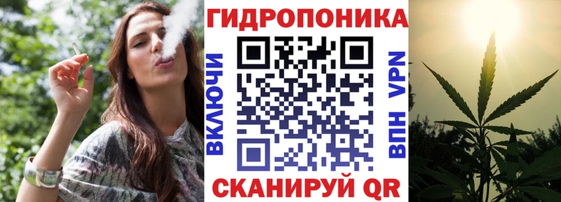 Бошки Шишки OG Kush продажа наркотиков Рудня